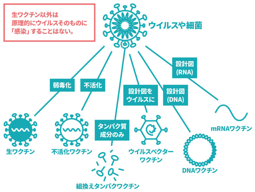 【遺伝子】mRNAワクチンとは インフルエンザワクチンとの違い